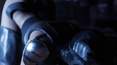 Catwoman Anally Penetrated from Behind in First Person Perspective (Frolich)