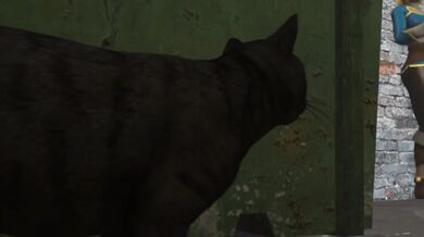 - Cute Kitty Slut Gets Nailed By Her Owner