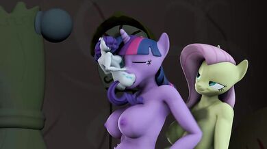 The Furry Ruler's First Reign