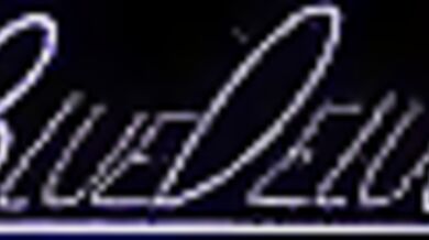 Braixen in a Halloween Costume