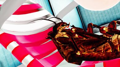 Lucoa's Wet & Wild Summer Adventure with Naughty Insects in 4K!