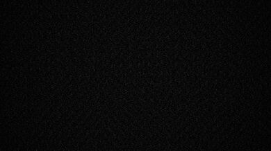 The Perverted Adventures of a Horny Owl and Her Sex-Crazed Polar Bear Lover