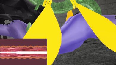 Tentacle Ra*pe Dungeon: Isekai no MuFly