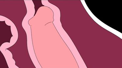 Mouth-Watering Blowjobs in the Camper with Jake and Princess Bubblegum!