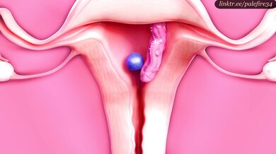 2B Breaks Out and Gives Birth: A XXX X-Ray Adventure