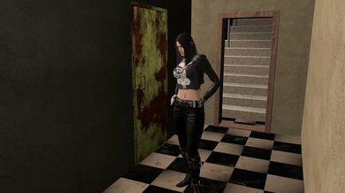 Chapter II - Handling Hoe's and Drug Peddlers