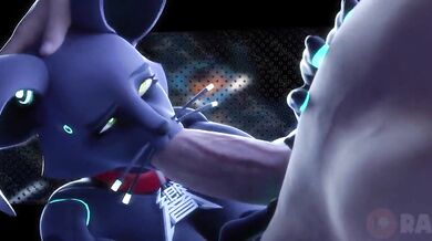 808 Blowbang - Rabbit