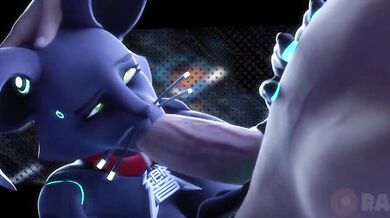 808 Blowbang - Rabbit