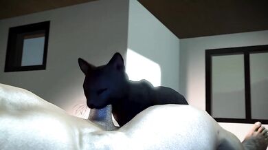 Cumming for Cats' Pleasure - RookieAnimator210