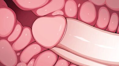 Uncensored Secelia Dote: mapar