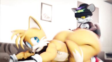 Got Meow'd and Fucked in the Ass