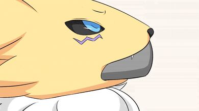 Baka Renamon's First Scene, Volume 39