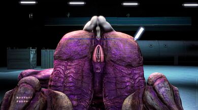 Big Fucking Boobs on Campus! The Making of a Porn Star