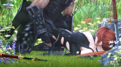 Ninja's Secret Shadows in the Forest