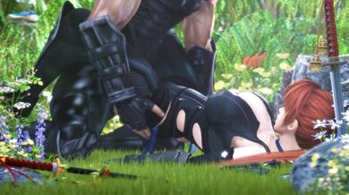 Ninja's Secret Shadows in the Forest