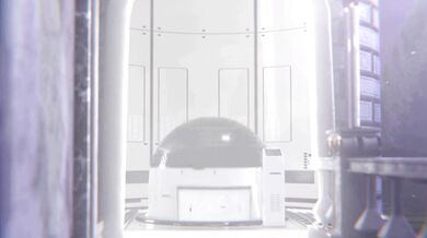 The Shadow Ballerina: A Female Royal Training