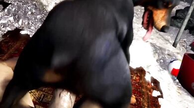 Bone the Pooch Fulfillment (Scrungusbungus)