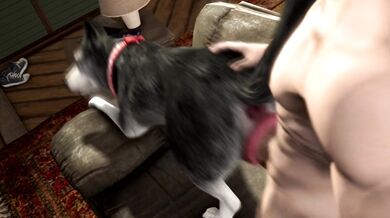 Husky Banged By Hairy Man Meat (Scrungusbungus)