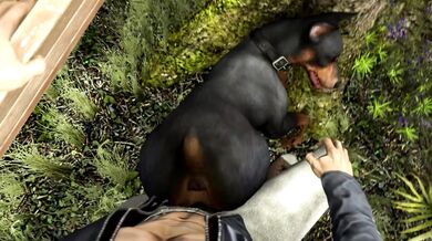 Doberman Desires: Man and Doggy Style Sex (ScruggedBoner)