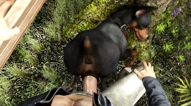 Doberman Desires: Man and Doggy Style Sex (ScruggedBoner)