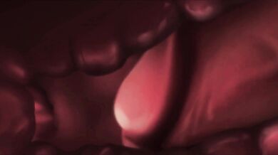 Lustful Crave: Exploring Encounters