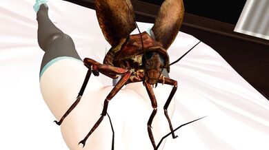 Yiffy Cockroaches at the B&B - Episode 11