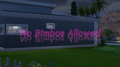 Only Futa-on-Male Action Permitted: No Bimbos Allowed!