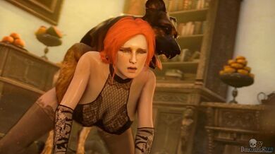 Doggy Style on Pregnant Triss [Infinite Loop]
