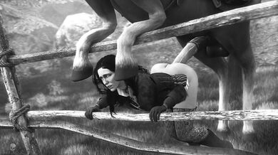 Yennefer: The Dominant Sultress of Sexual Intercourse