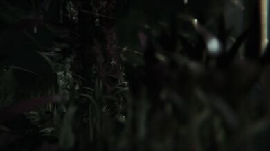 Triss and Leshen: A Wet and Wild Ride with the ZMSFM Babes