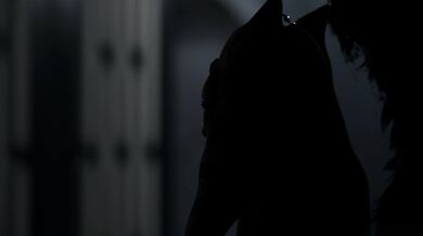 Ahsoka's Futile Effort to Escape (Rekin3D & LHSFX)