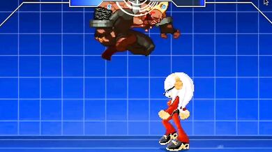 Birdie & Zeta Ultimate Fighting 1.0