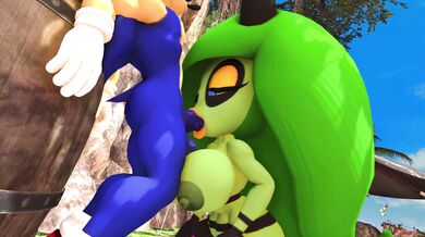 Sonic's Blowjob Adventure with Zeena