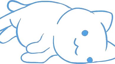 - Gape Wide Open: Pussy Slip 'n' Trip
- Pussy Destiny: The Accidental Orgasm- Pussy Destiny: The Accidental Orgasm
- Tight Twat Tumble: Oops, I Came!....- Tight Twat Tumble: Oops, I Came!