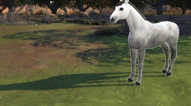 When Nami decided to go for a ride on the horse, she had no idea what was about to happen next...