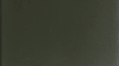 Sexy Shemale Swallows a Cock in Second Life