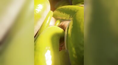 Barking up the Wrong Tree [Ano_Delta]