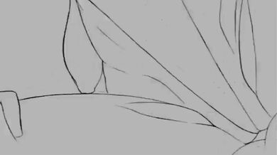 Naughty Nymphos: An Anything-Goes Sex Romp Compilation!