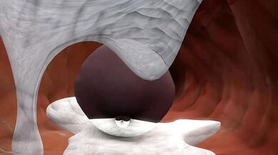 Horse Fucks Casca's Tight Ass: A Ra*pe Fantasy Fulfilled