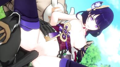 Raiden Shogun: Insurgence