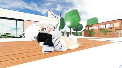 Shark Bait: The Art of Taming a Hungry Beast