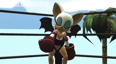 Amy versus Rouge Foxy Boxing (Ryona): The Ultimate Hentai Fighter Match!