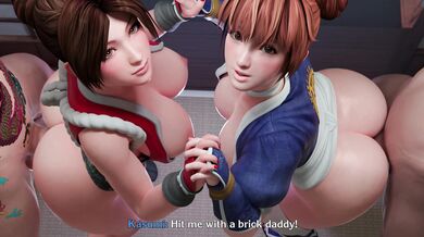 The Secret Ninja Festival: Maidens' Revenge