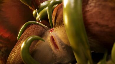 Tied Up and Tricked - Anal Adventures of a Delta Virgin