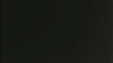 'Furry Fetishes Fucked - Naughty Dog Gets Punished in Second Life'.