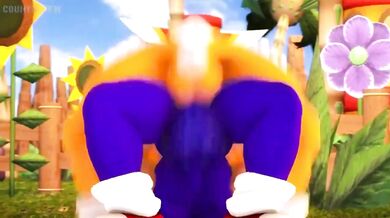 Tails' Ass Gets Anally Pounded by Sonic's Huge Cock (Sound).