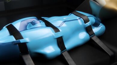 Fox McCloud's Naughty Tickle Session