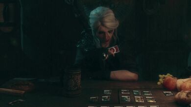 The Witcher's Erotic Adventures