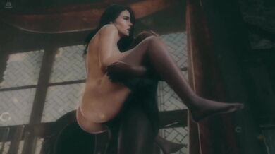 The Witcher's Erotic Adventures