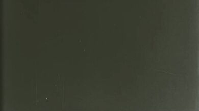 'Furry fun with the German Shepherd '